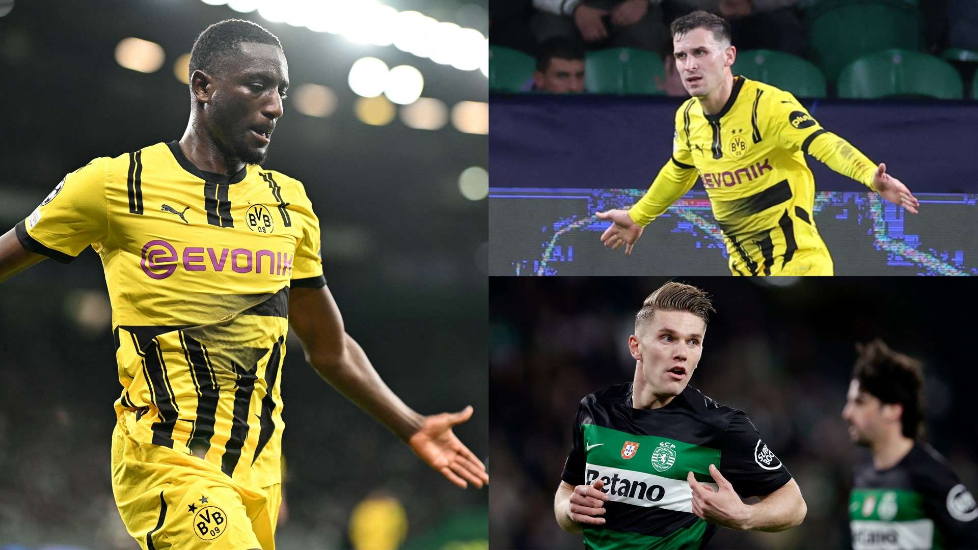 雷德也能离 雷德也能离