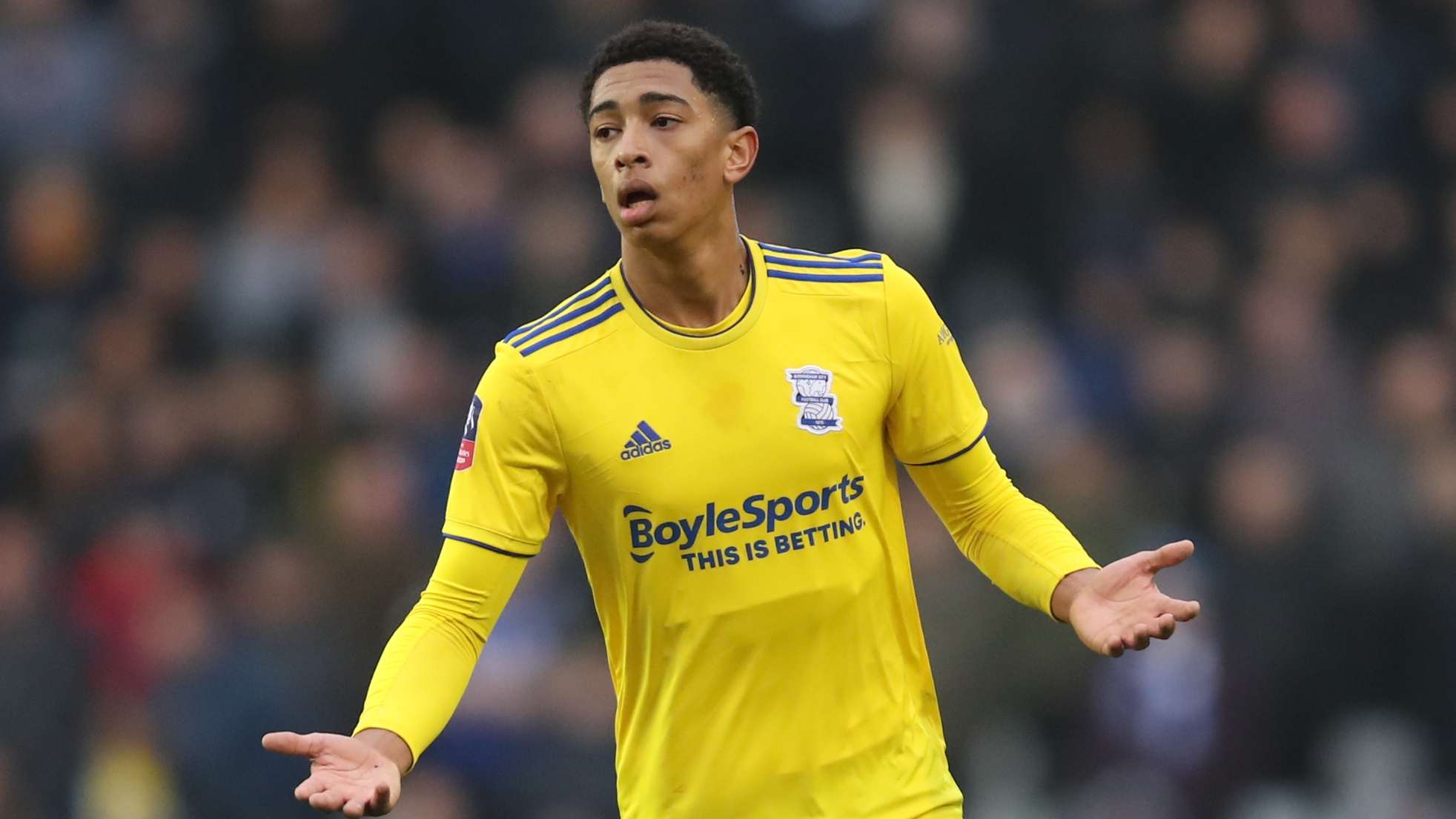 资源与机会 资源与机会