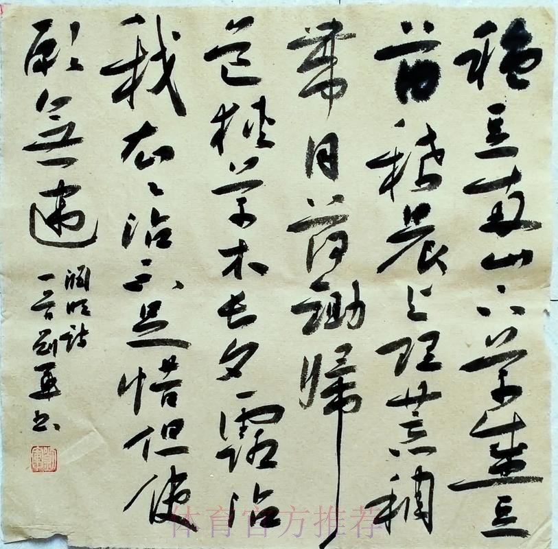 银舰拾「贝」无难度